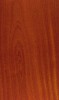 Sapele